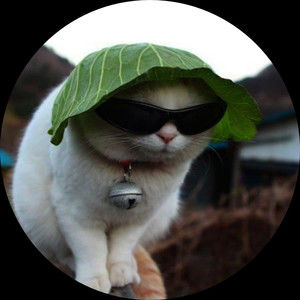 Meet your Posher, Emmaleigh